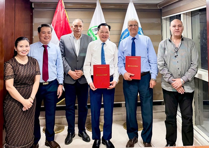 chiến lược vinachem 4