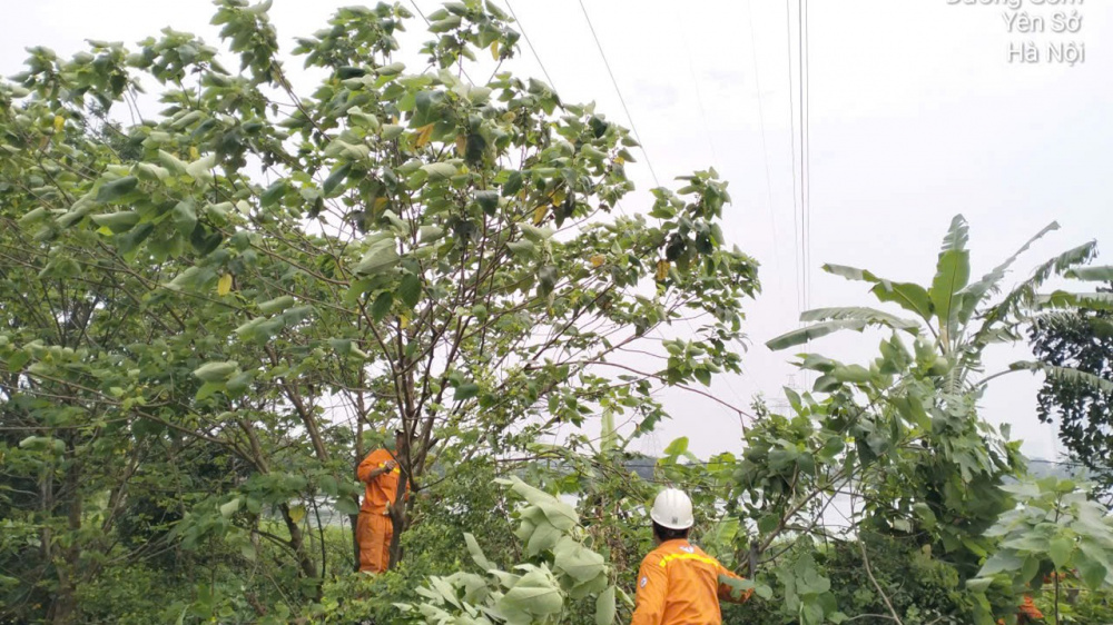 PTC1 bảo đảm cung cấp điện an toàn dịp lễ lớn 2026