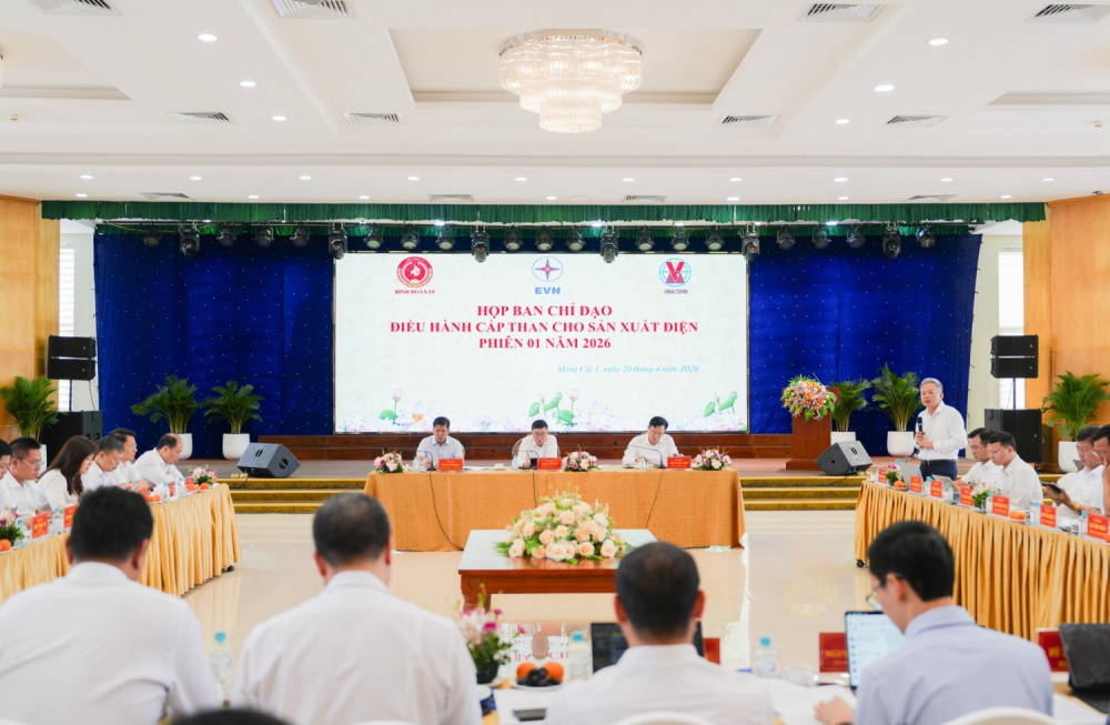 chủ động nguồn than