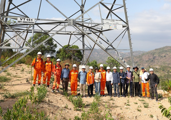 Đoàn Đảng ủy PTC3 kiểm tra đường dây 220kV Nha Trang - Tháp Chàm