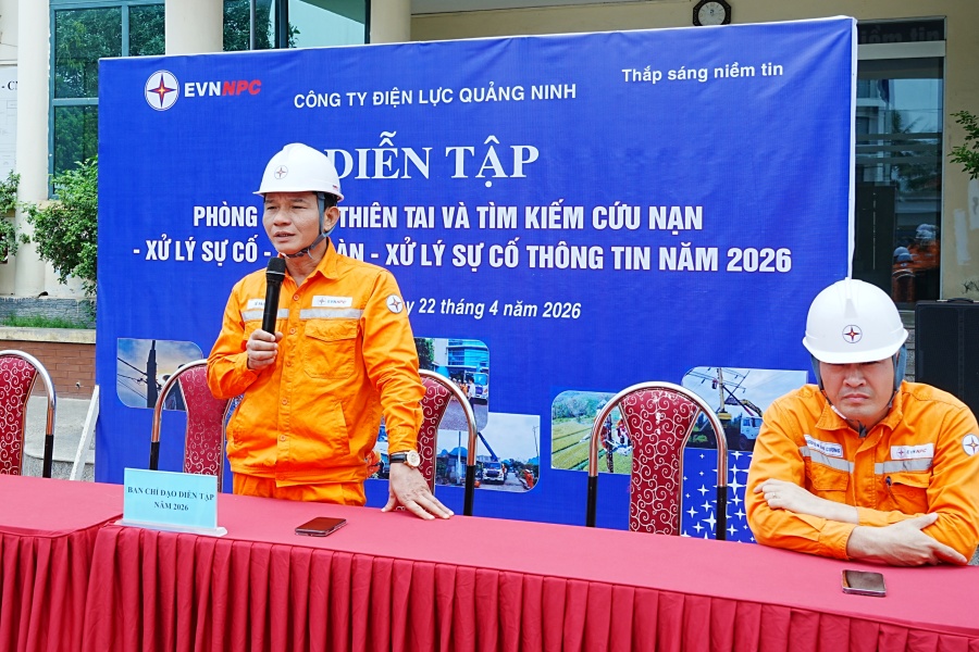 Công ty Điện lực Quảng Ninh