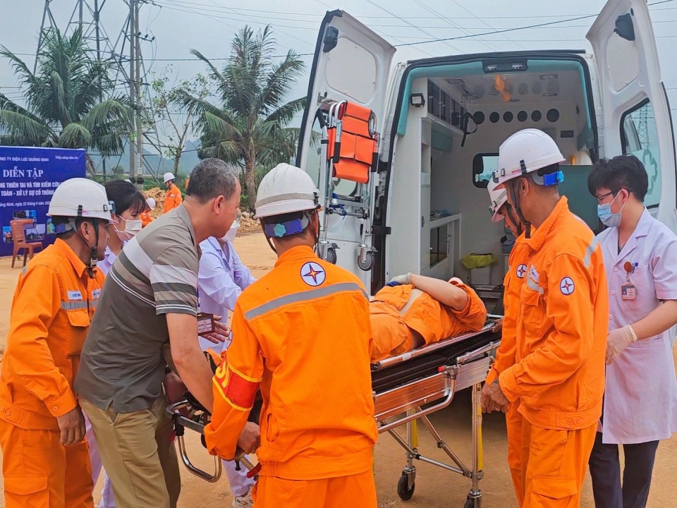 Công ty Điện lực Quảng Ninh