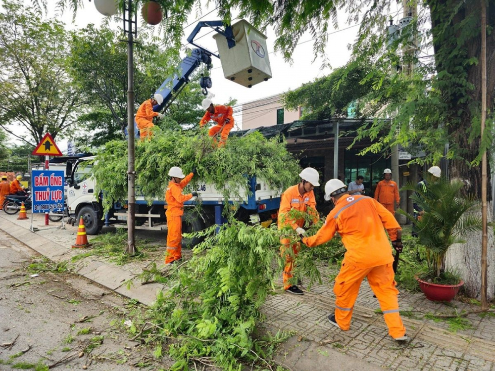 Công nhân ngành điện phối hợp với đơn vị quản lý cây xanh chặt tỉa, ngăn ngừa cây ngã vào lưới điện