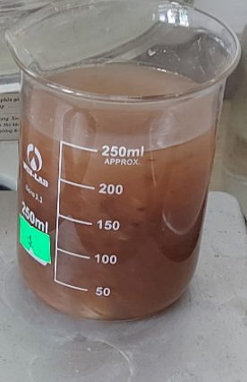 A beaker with brown liquid in it

Description automatically generated with medium confidence