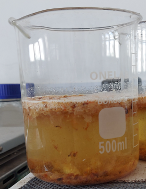 A beaker with liquid in it

Description automatically generated with low confidence