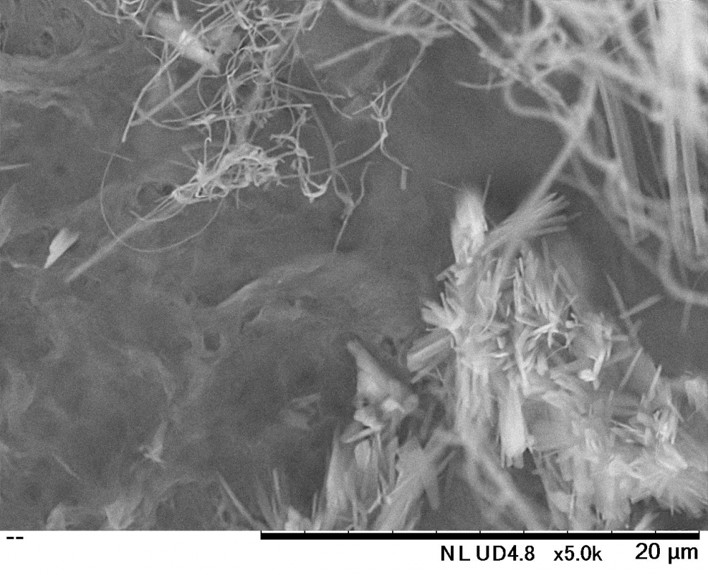 Close-up of a microscope view of a plant with Nazca Lines in the background

Description automatically generated