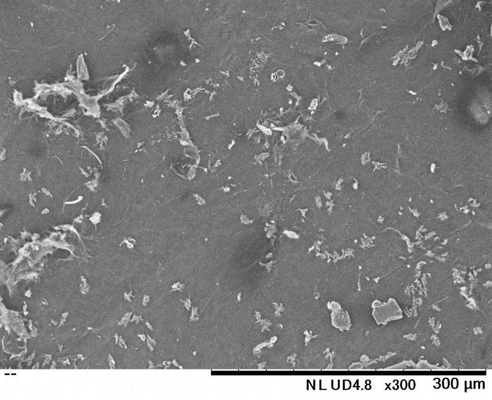 A close-up of a microscope

Description automatically generated