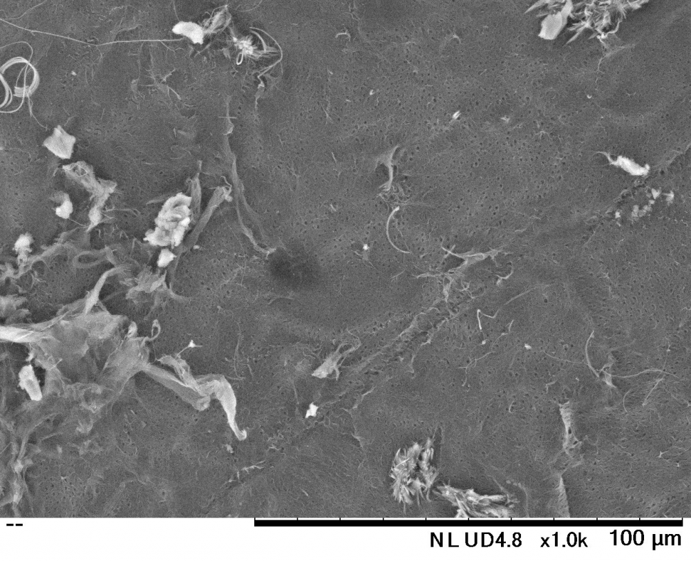 A close-up of a grey surface

Description automatically generated