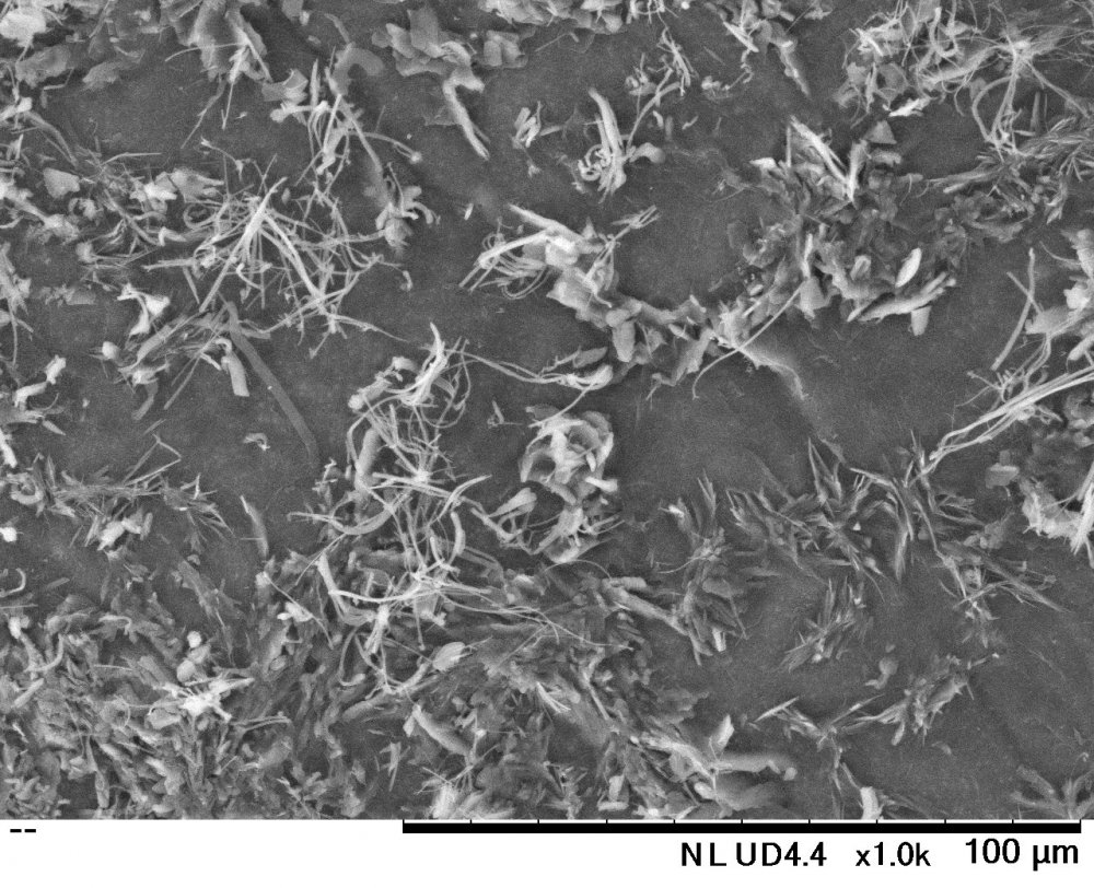 A close-up of a microscope

Description automatically generated