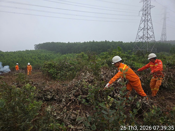 đường dây