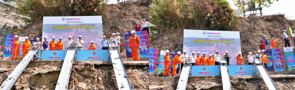 lễ thả cá của Thủy điện Sông Bung