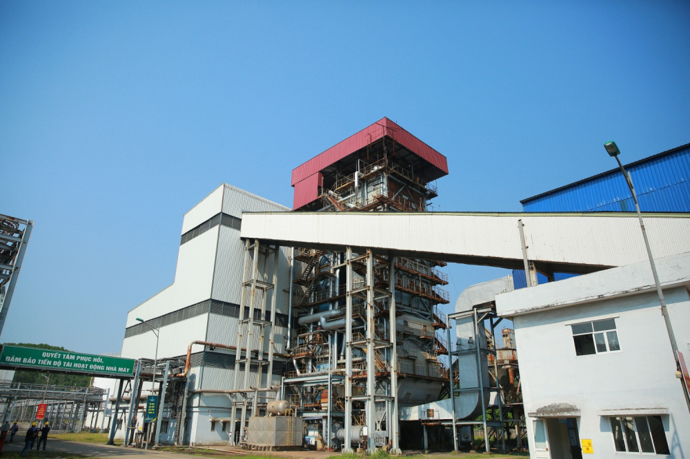 cung ứng