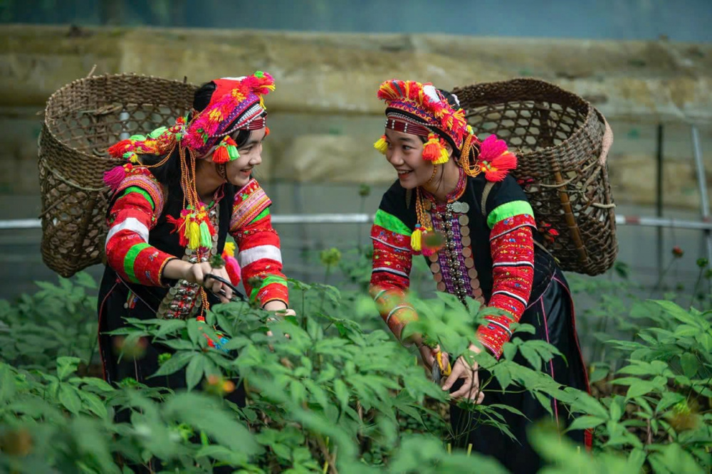 dân tộc miền núi