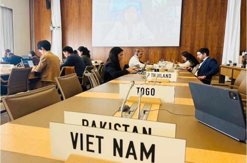 đoàn Việt Nam
