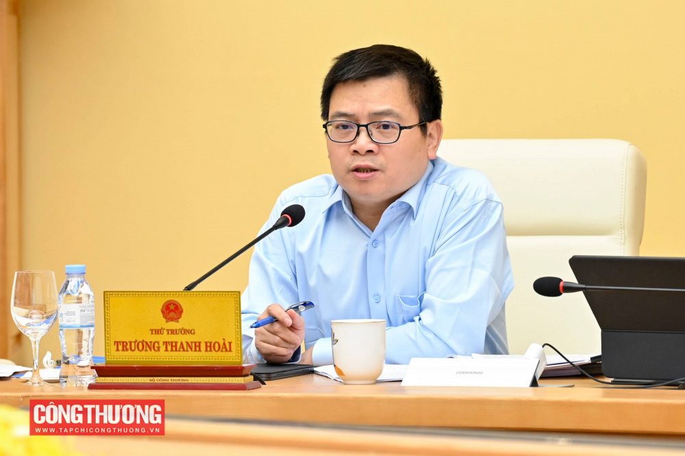 Thứ trưởng Trương Thanh Hoài phát biểu tại buổi làm việc