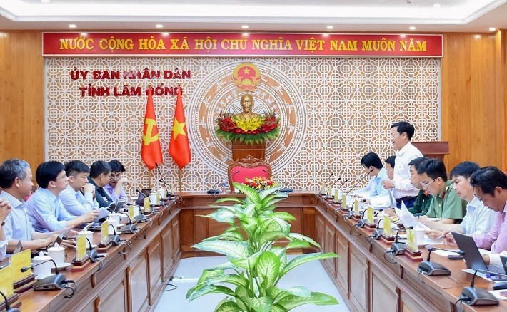Dự án
