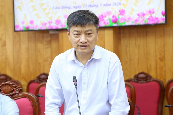Dự án