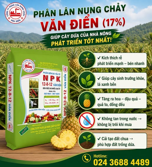 lân văn điển