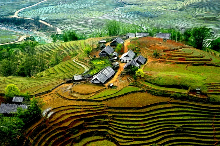 Description: trung ương