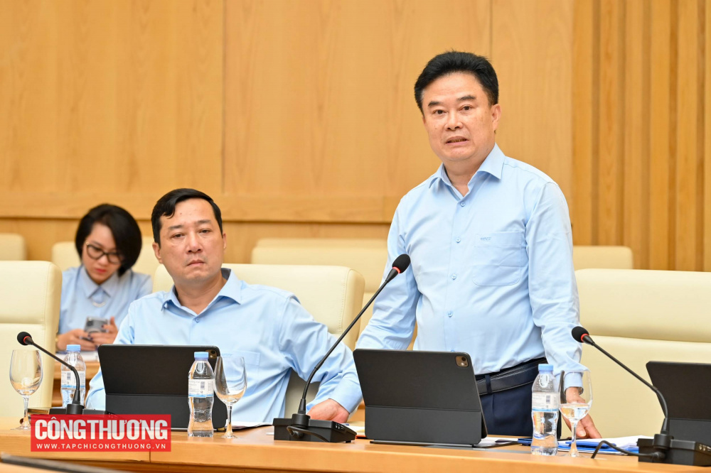 Đại diện lãnh đạo Cục Hóa chất phát biểu tại buổi làm việc