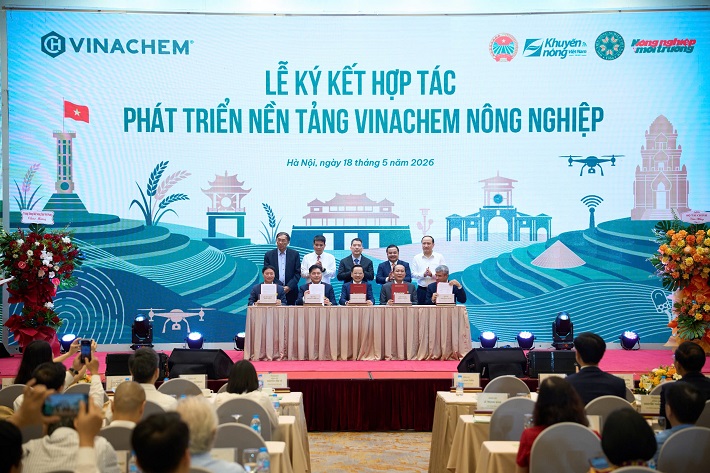 nông nghiệp 8
