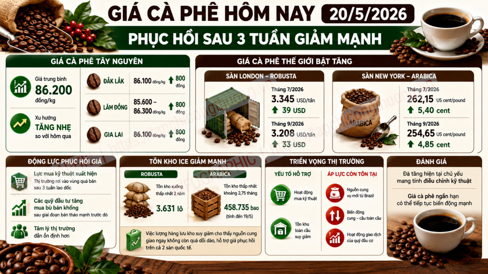 giá cà phê hôm nay