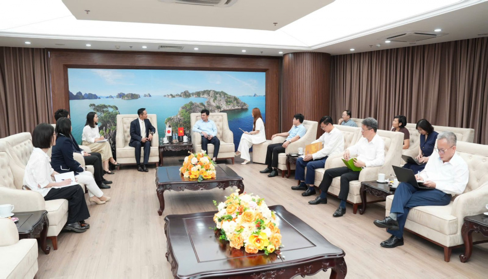 tkv hợp tác