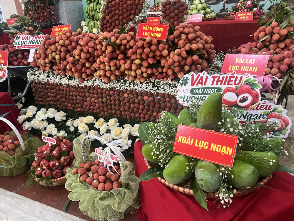 vải thiều