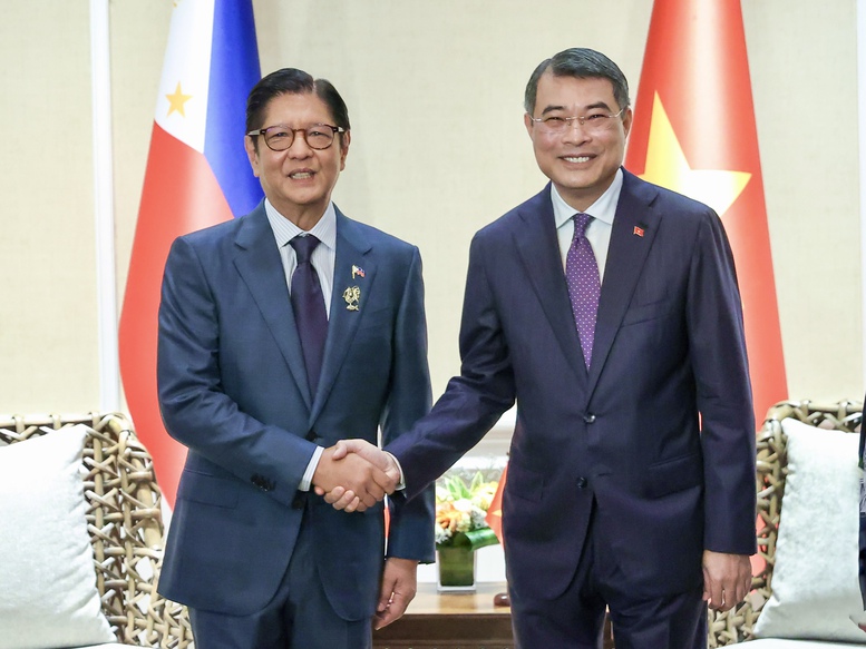 Description: Thủ tướng Lê Minh Hưng hội kiến Tổng thống Philippines- Ảnh 1.