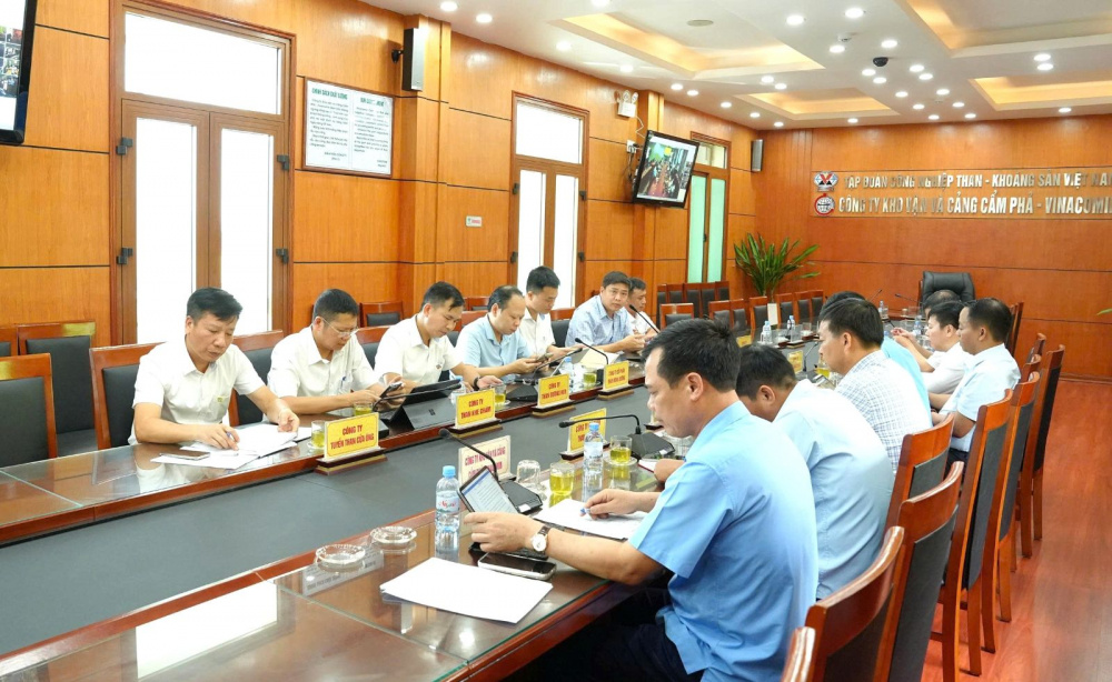 tkv cung ứng than