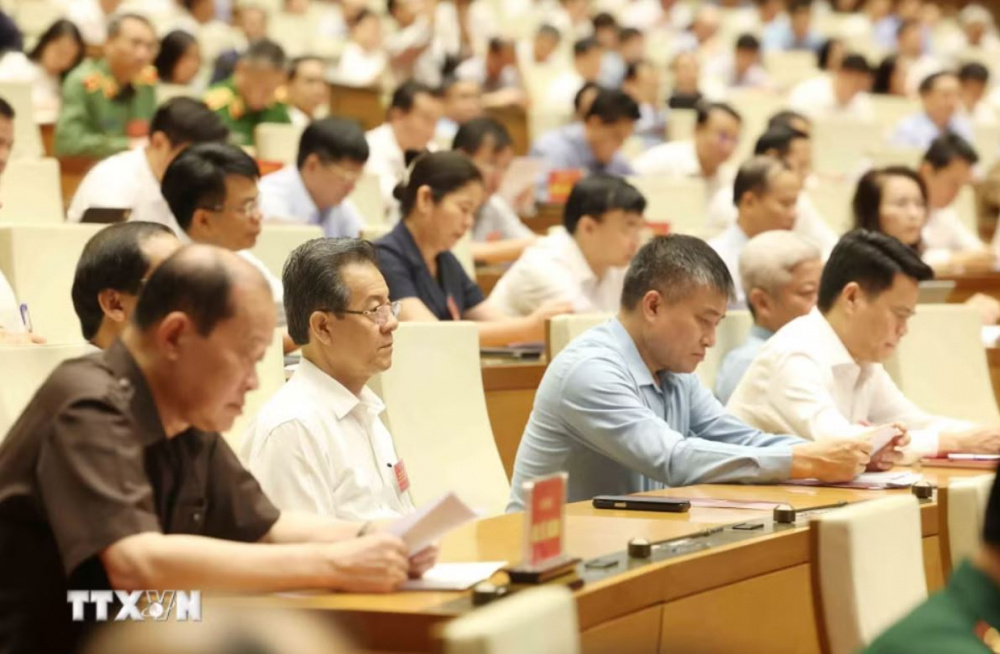 đại biểu