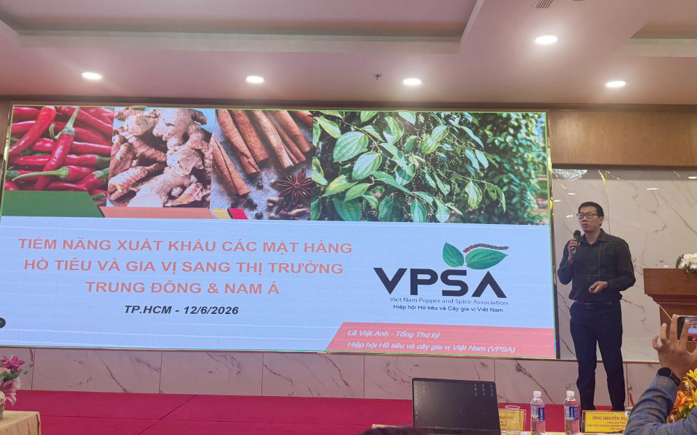 Việt Anh