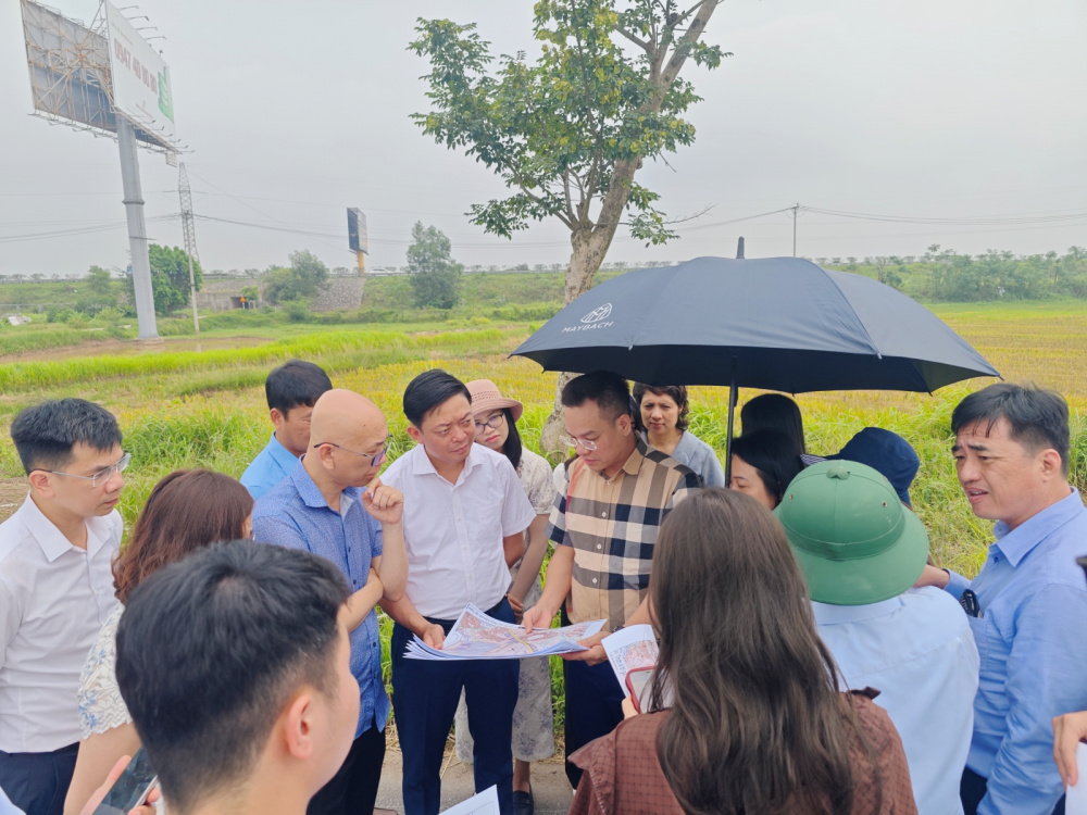 khảo sát dự án