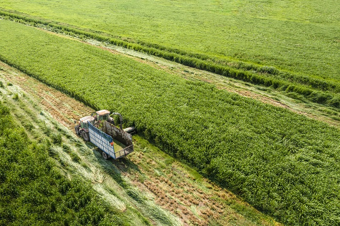 Vinamilk đang có loạt dự án đầu tư - mở rộng quy mô lớn, phủ từ trang trại, nhà máy đến hệ thống phân phối (Ảnh: VN).