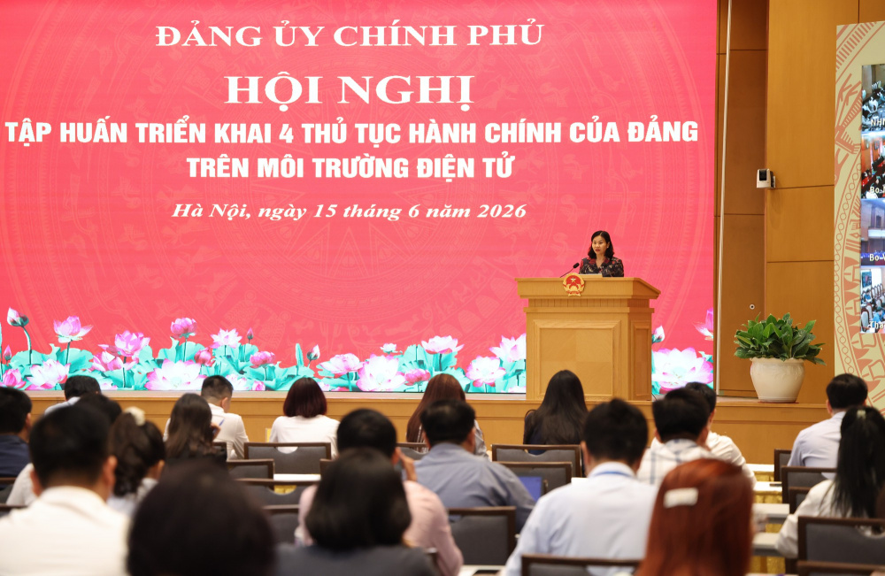 Đảng ủy Chính phủ