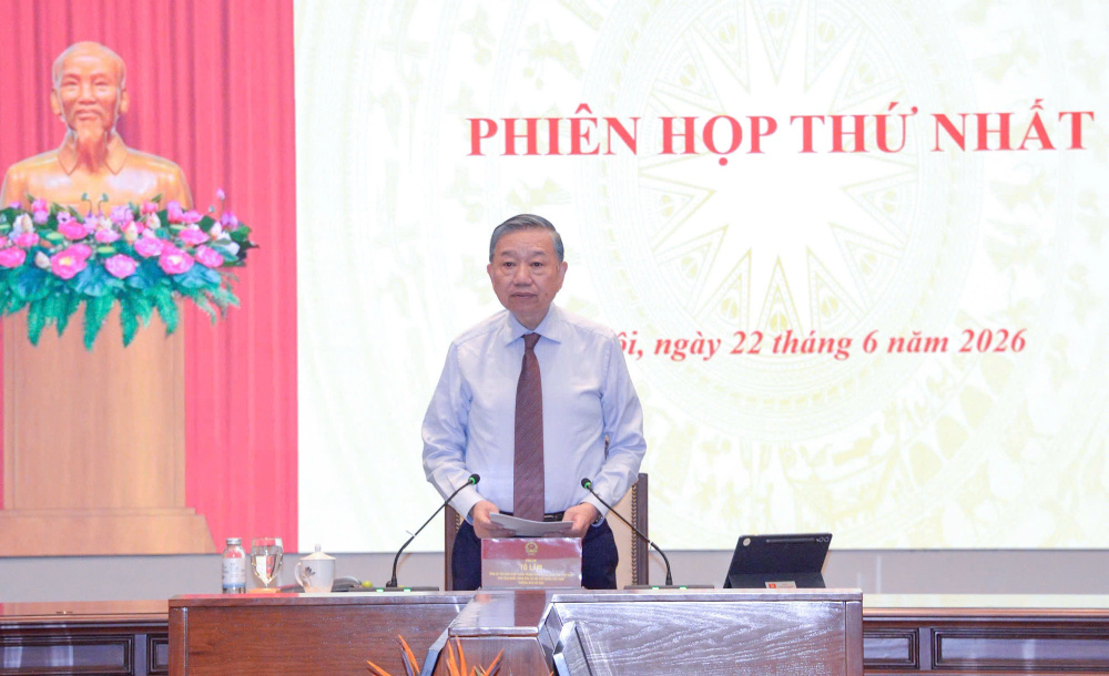 thể chế