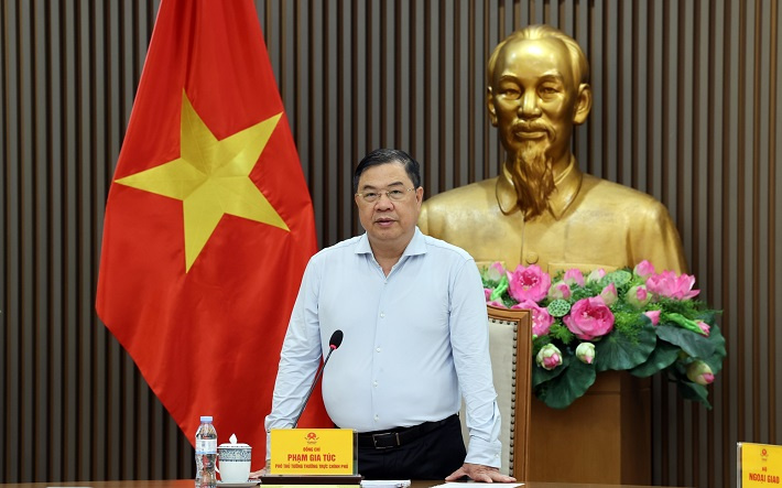 dự án muối mỏ