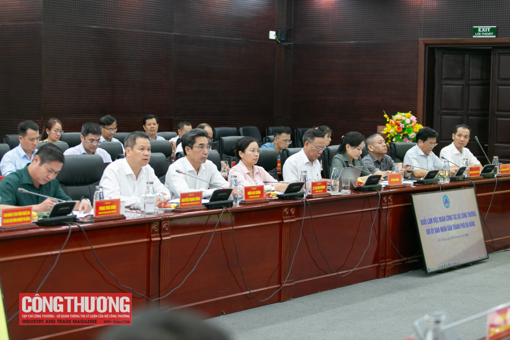 Lãnh đạo UBND thành phố tham dự buổi làm việc