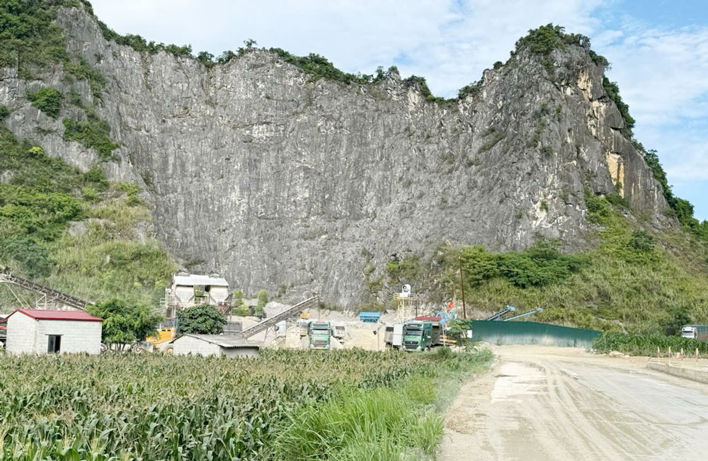 Công ty TNHH Hồng Phong