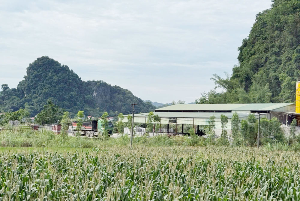 Công ty TNHH Hồng Phong
