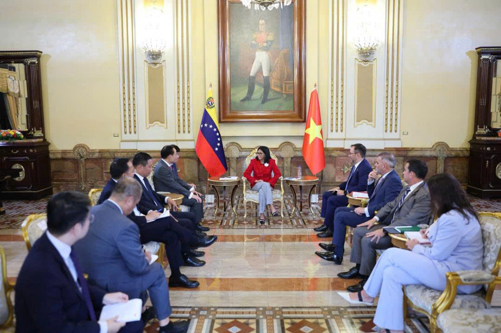 Thứ trưởng Nguyễn Hoàng Long