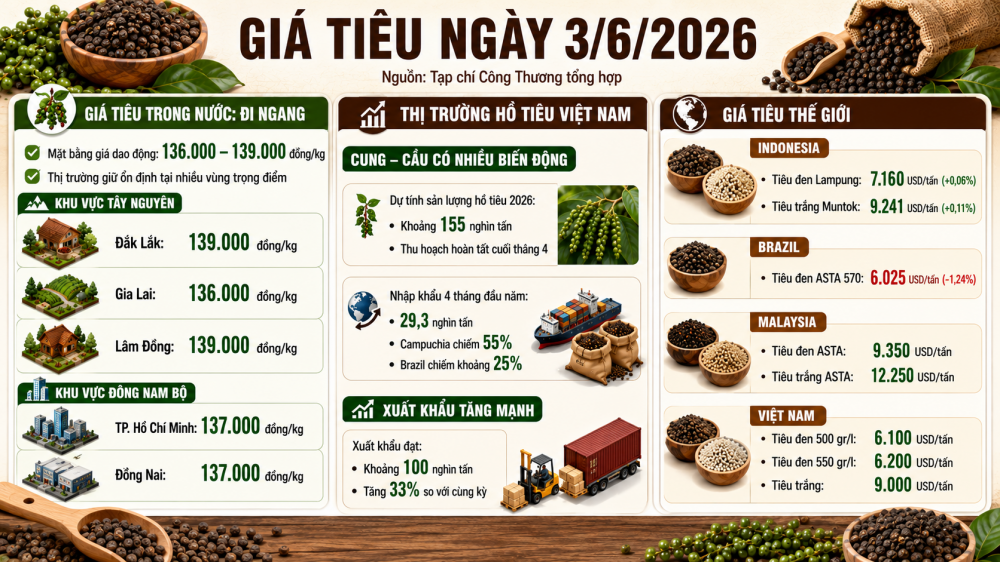 giá tiêu hôm nay