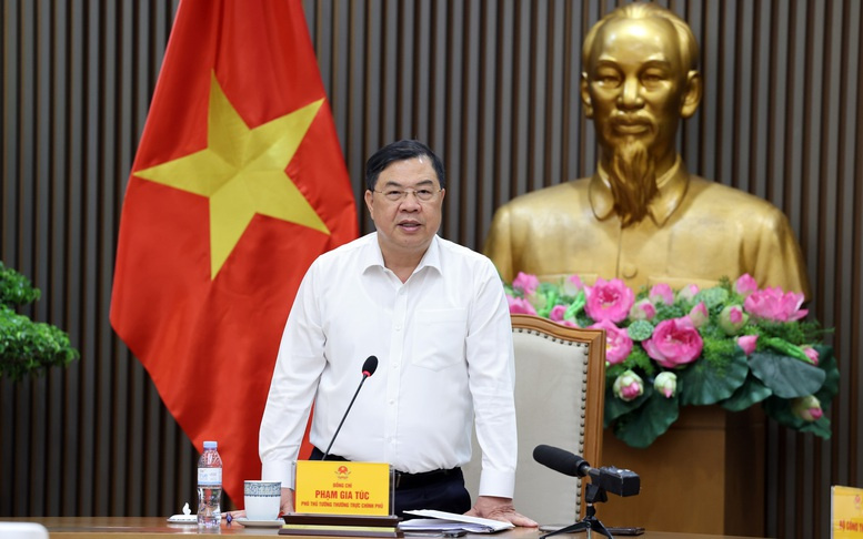 Description: Phó Thủ tướng Thường trực Phạm Gia Túc yêu cầu bảo đảm nguồn cung, chất lượng và quyền lợi người tiêu dùng khi chuyển đổi sang xăng E10- Ảnh 4.