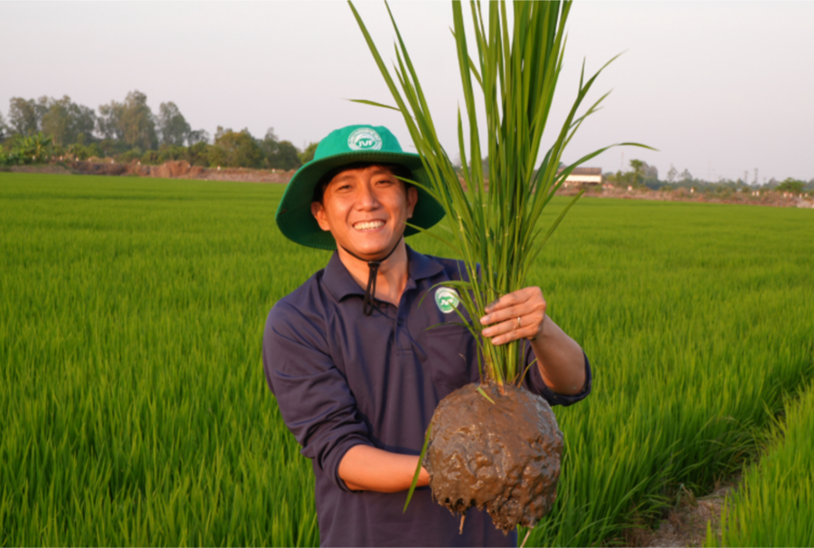 Phân bón Việt Nhật