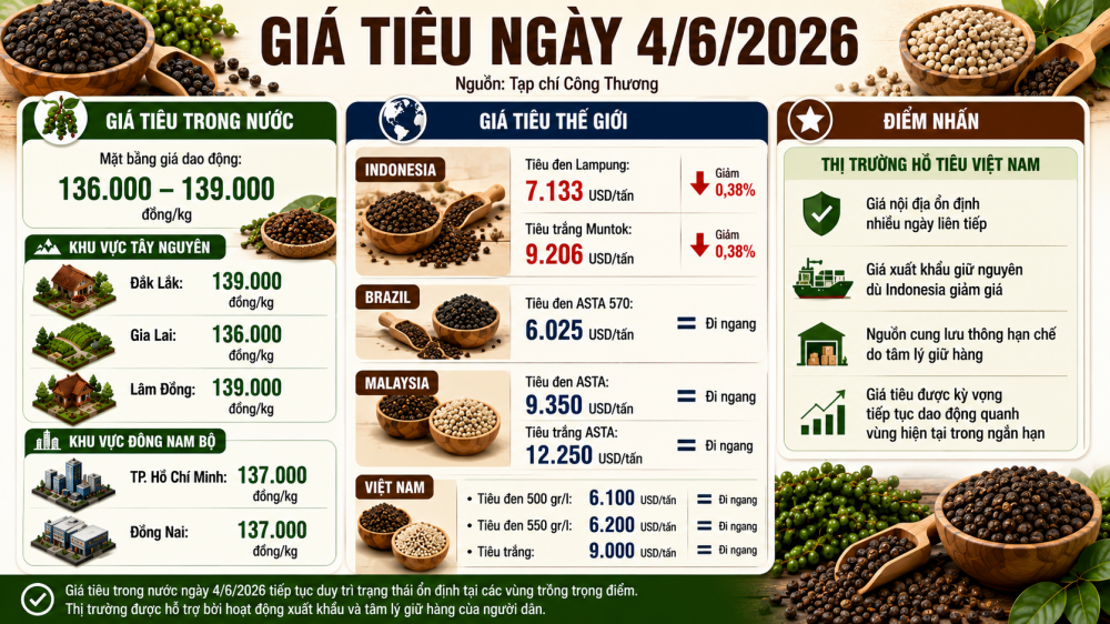 giá tiêu hôm nay