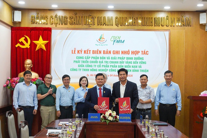phân bón miền nam 7