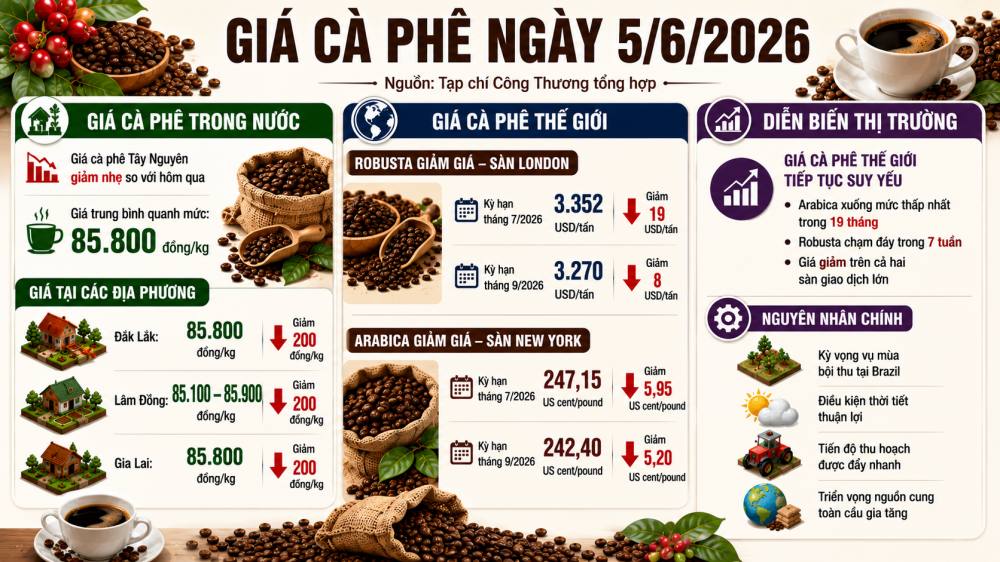 giá cà phê hôm nay