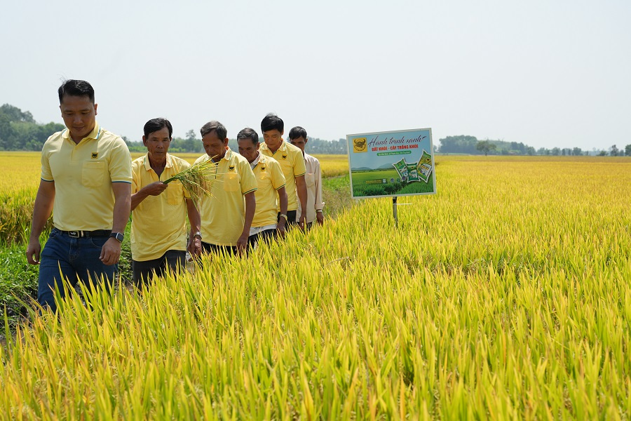 Đất khỏe hôm nay, mùa vàng ngày mai
