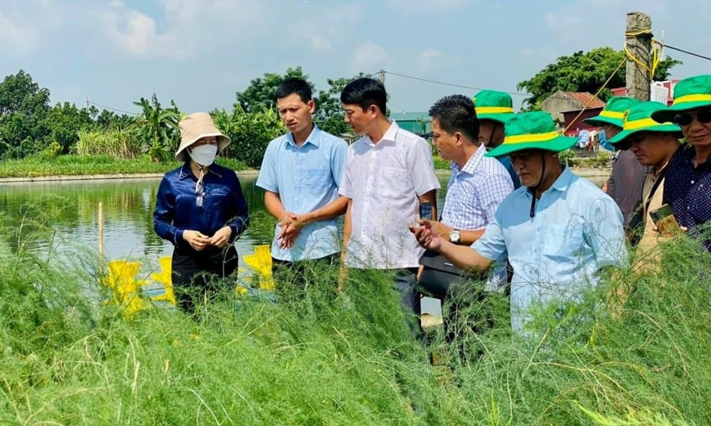 Hội Nông dân Việt Nam