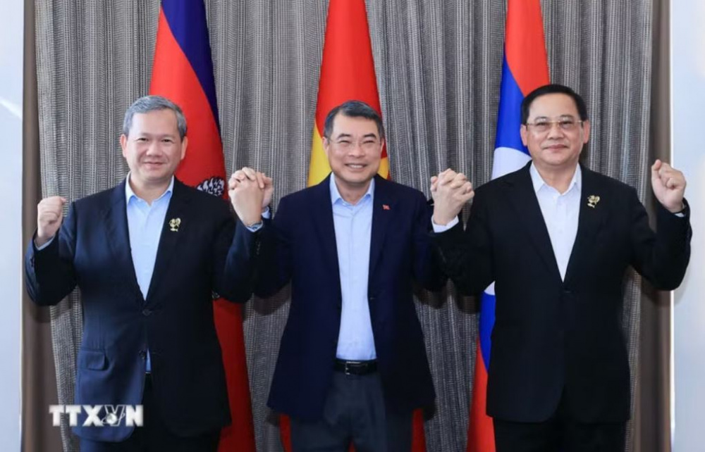 hợp tác